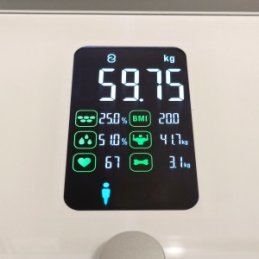 FI2019LB-B Multifunkčná osobná váha do 180kg / 100g biela